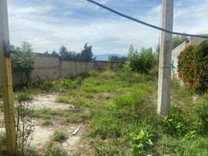 Terreno en Venta en San Sebastian El Grande Tlajomulco de Zúñiga