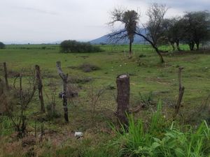 Terreno en Venta en Labor de Medina San Martín Hidalgo