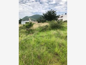 Terreno en Venta en Rufino Tamayo Santa Cruz Xoxocotlán