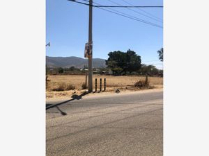 Terreno en Venta en Santa Cruz Xoxocotlán Santa Cruz Xoxocotlán