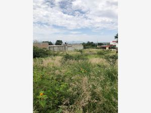 Terreno en Venta en Rufino Tamayo Santa Cruz Xoxocotlán