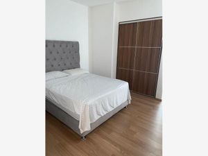 Departamento en Renta en Juriquilla Santa Fe Querétaro