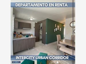 Departamento en Renta en Residencial el Refugio Querétaro