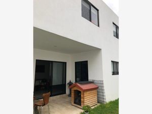 Casa en Renta en Juriquilla la Condesa Querétaro