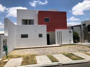 Casa en Renta en Centro Sur Querétaro