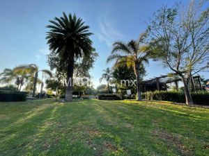 Casa en Renta en Juriquilla Santa Fe Querétaro