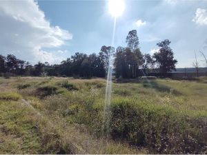 Terreno en Venta en La Pitahaya Apaseo El Grande