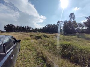 Terreno en Venta en La Pitahaya Apaseo El Grande