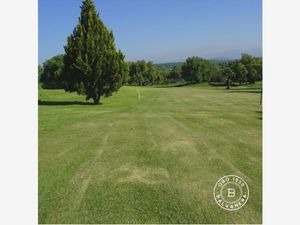 Terreno en Venta en Balvanera Polo y Country Club Corregidora