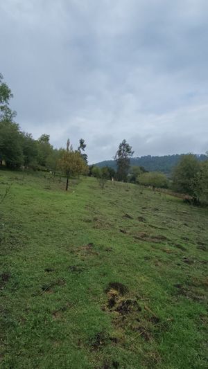 4 hectareas de terreno con cabaña en JUANACATLAN