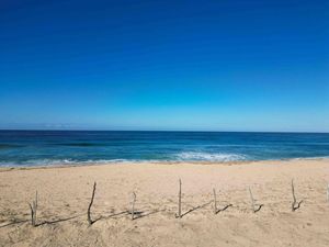 LOTE FRENTE A PLAYA EN CERRITOS BAJA CALIFORNIA SUR