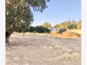 Terreno en Venta en Lomas de Comanjilla León