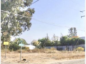 Terreno en Venta en Lomas de Comanjilla León