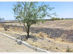 Terreno en Venta en Álvaro Obregón (Santa Ana del Conde) León