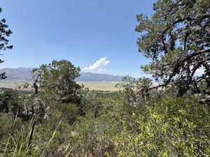 Terreno en Venta en Campestre San Antonio Arteaga