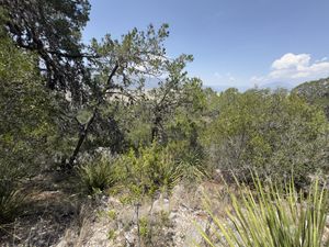 Terreno en Venta en Campestre San Antonio Arteaga