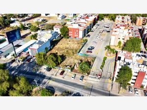 Terreno en Renta en El Rosario León