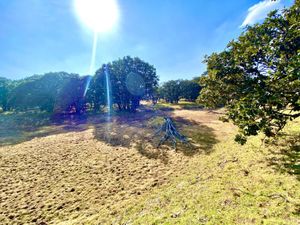 Terreno en Venta en San Felipe (La Estación) San Felipe