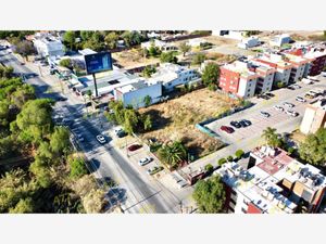 Terreno en Renta en El Rosario León