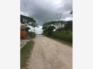 Terreno en Venta en Don Salvador Emiliano Zapata