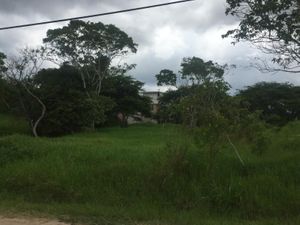 Terreno en Venta en Don Salvador Emiliano Zapata