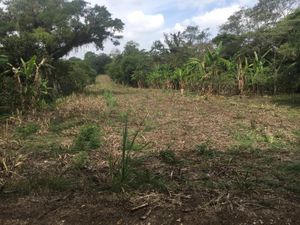 Terreno en Venta en Alborada Emiliano Zapata