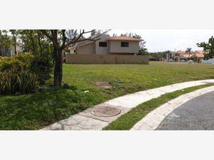 Terreno en Venta en Vista Bella Alvarado