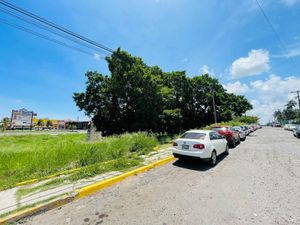 Terreno en Venta en Bruno Pagliai Veracruz