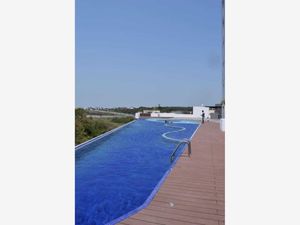 Departamento en Venta en Playas del Conchal Alvarado