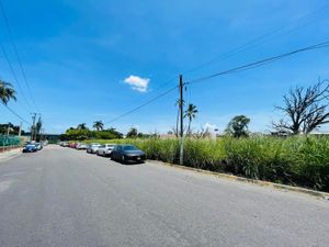 Terreno en Venta en Bruno Pagliai Veracruz