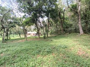 Terreno en Venta en Briones Coatepec