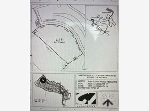 Terreno en Venta en Bosque de Niebla Xalapa