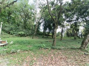 Terreno en Venta en Briones Coatepec