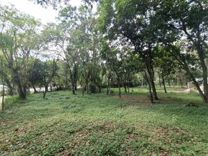 Terreno en Venta en Briones Coatepec