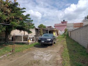 Terreno en Renta en Carolino Anaya Xalapa