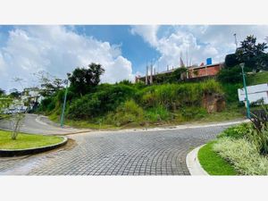 Terreno en Venta en Bosque de Niebla Xalapa