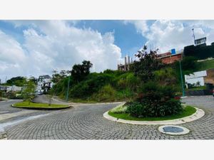 Terreno en Venta en Bosque de Niebla Xalapa