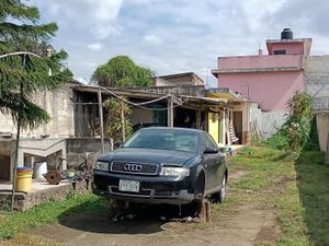 Terreno en Renta en Carolino Anaya Xalapa