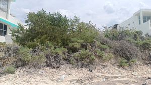Terreno a pie de playa en Chelem Progreso, Yucatán