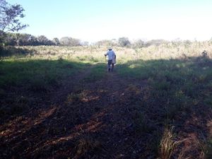 EXTRAORDINARIO RANCHO DE 80 HAS EN TEMOZÓN, CERCA DE EK-BALAM, YUCATÁN