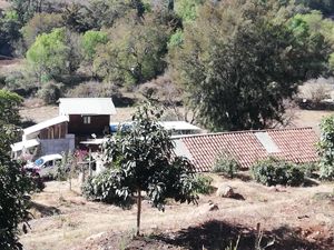 Finca/Rancho en Venta en Tamanguío Acuitzio