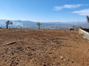 Terreno en Venta en Los Llanos Morelia