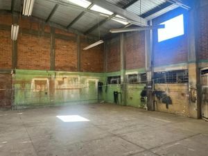 Bodega en Renta en Pensador Mexicano Venustiano Carranza