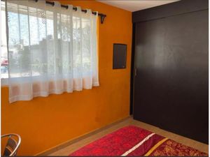 Departamento en Renta en Villa Coyoacan Coyoacán