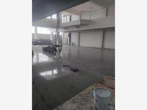 Edificio en Renta en Valle de Aragón 3ra Sección Oriente Ecatepec de Morelos