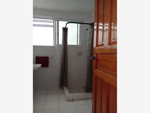 Departamento en Renta en Roma Norte Cuauhtémoc