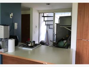 Departamento en Renta en Cuadrante de San Francisco Coyoacán