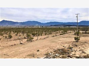 Terreno en Venta en Paredón Ramos Arizpe