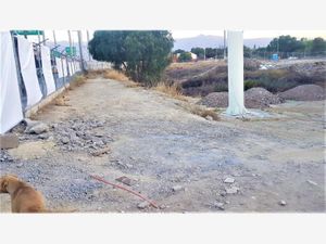 Terreno en Venta en Guanajuato Oriente Saltillo