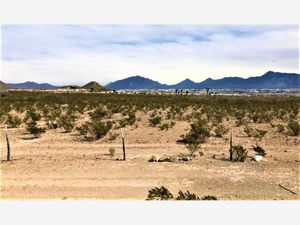 Terreno en Venta en Paredón Ramos Arizpe